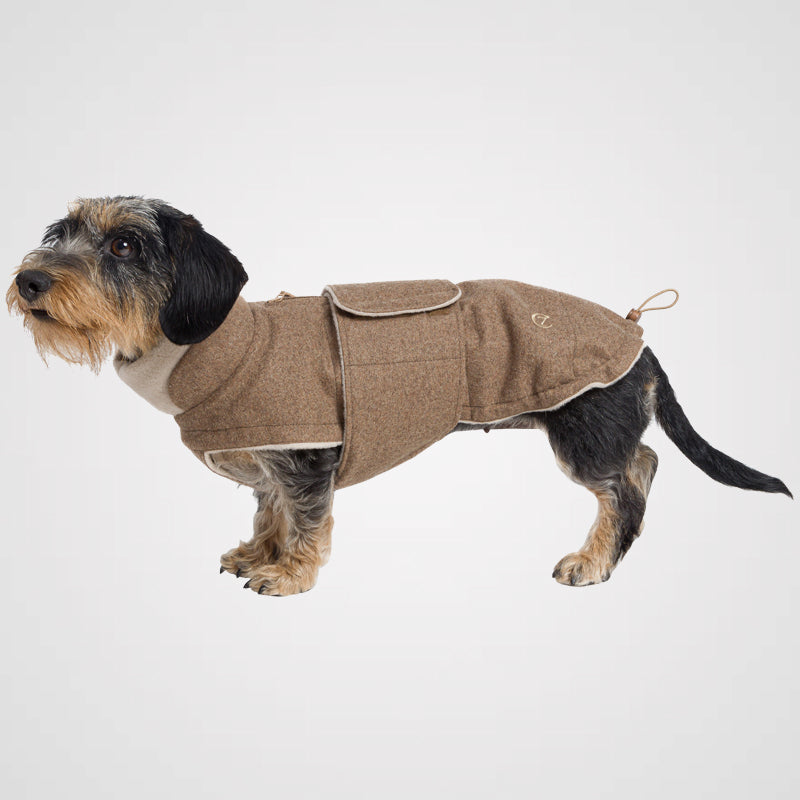 Cloud7 - Hundemantel Brooklyn | Hundewintermantel für Dackel – Bild 8