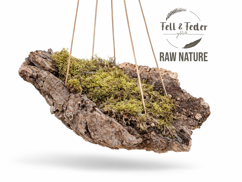 „Raw Nature“ Forest Swing – medium – Bild 4