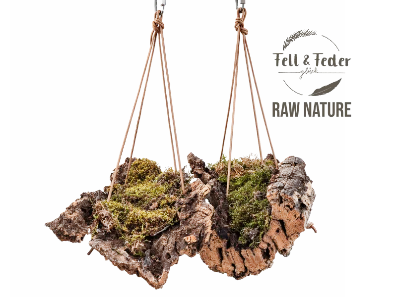 „Raw Nature“ Forest Swing – medium – Bild 5