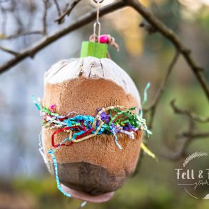 Coconut Treatholder – Foraging Spielzeug
